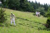 201307060744-AJS_3881.jpg